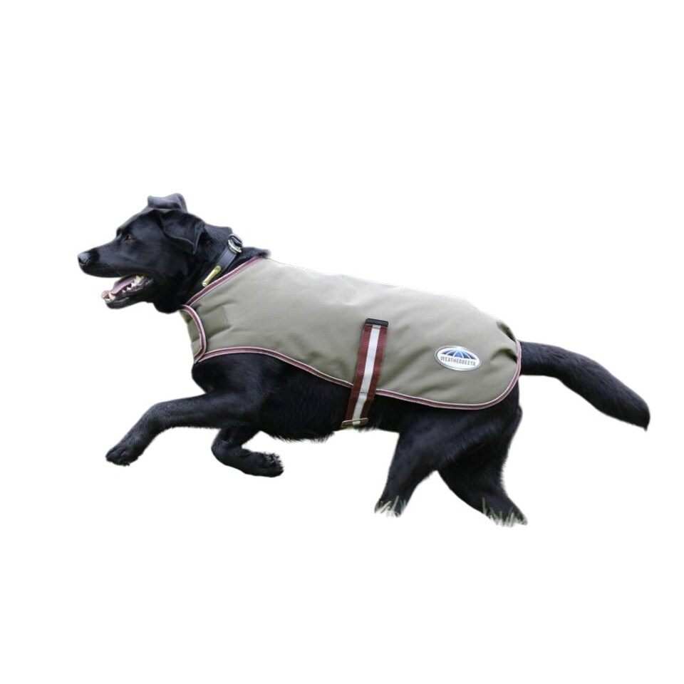 image 1 of Weatherbeeta Comfitec Premier Free Parka Midweight Dog Coat - Olive Green/Burgundy/White - Medium-25cm