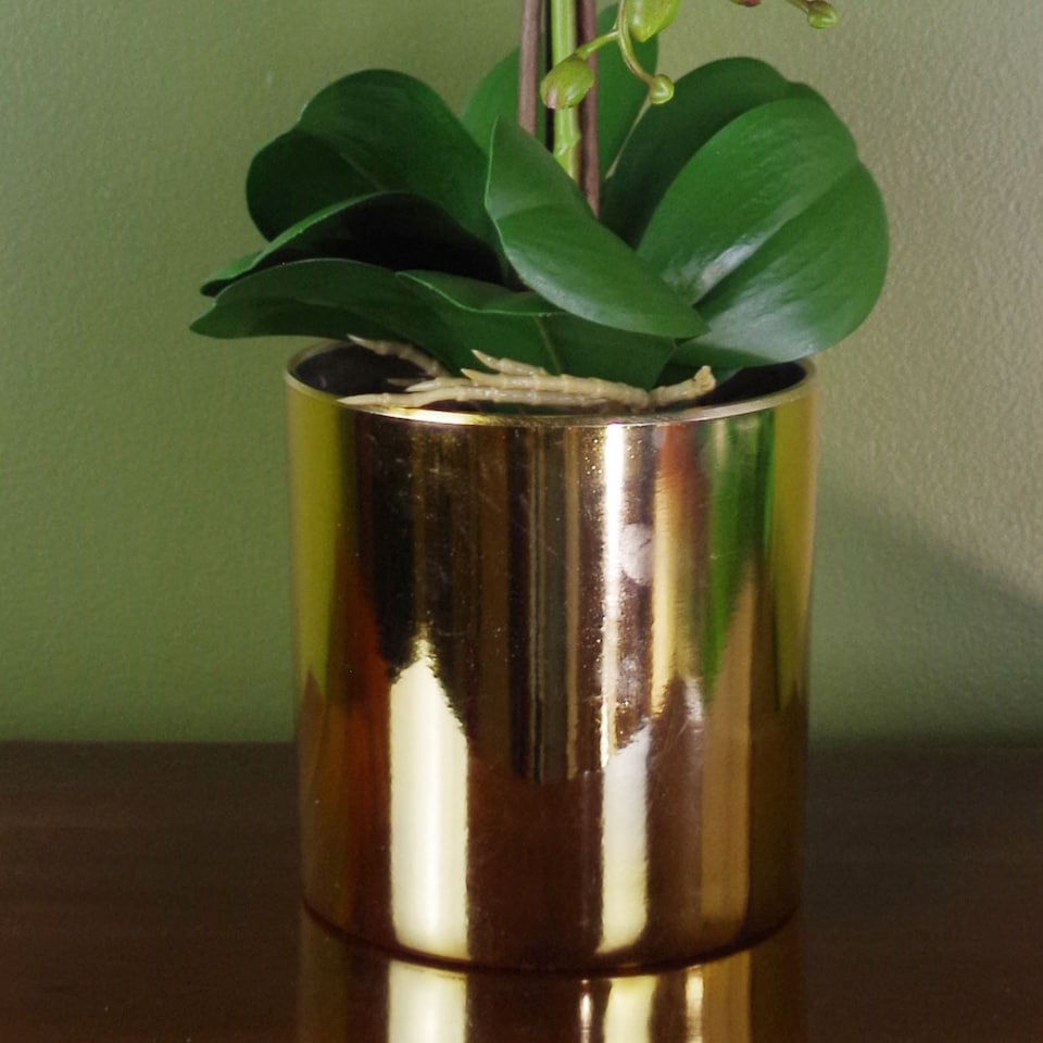 image 1 of Artificial Orchid Large Purple Gold 52cm Botanik