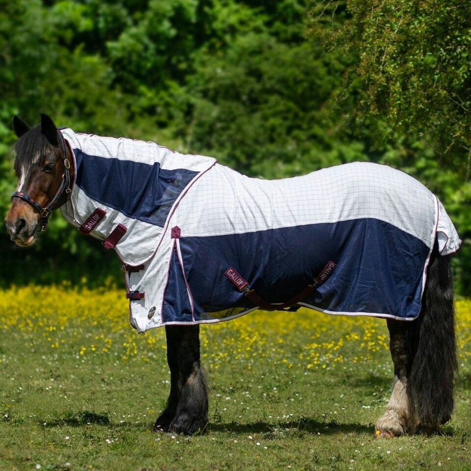 image 1 of Gallop Equestrian Air Mesh Dual Summer Sheet White | Size: 5ft 6
Colour: White