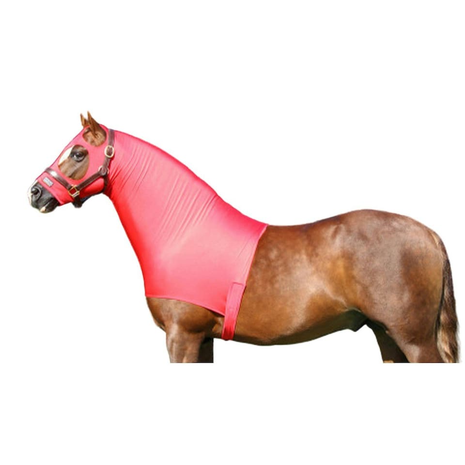 Supreme Products Spandex Hood - Pink - 17.2hh