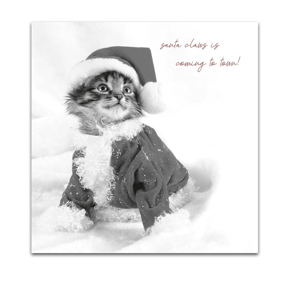 In Black & White, Santa Claws, Open Christmas Card, 163x163mm
