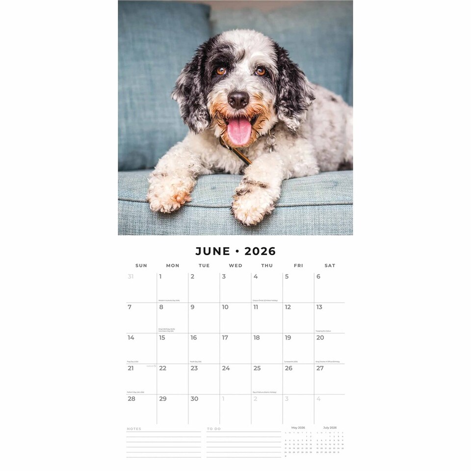 image 1 of Cockapoos Calendar 2026, Wall Calendars, Month To View, Dogs, Gift