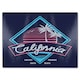 image 1 of Neon California Glass Chopping Board | Multi
