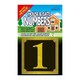 image 2 of Rowan 1 House & Gate Number - Black/Gold - One Size