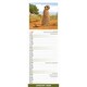 image 3 of Meerkats Slim 2026 Calendar | Slimline Wall Calendar | Animal Gift | Plastic Free Packaging | by Avonside Publishing [Calendar] Avonside Publishing Ltd