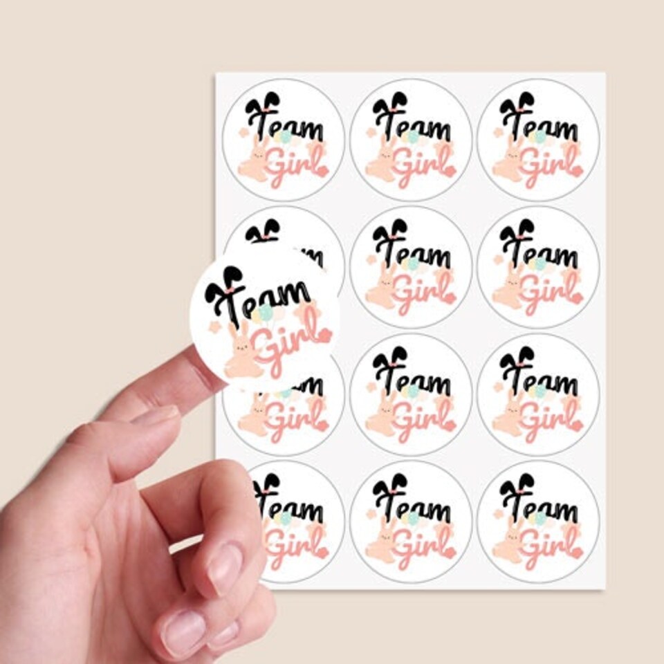 image 1 of Team Girl Bunny Gender Reveal Round Stickers 60mm - Sheet of 12