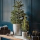 image 10 of Indoor Christmas Tree Bucket with Star in Galvanised Steel