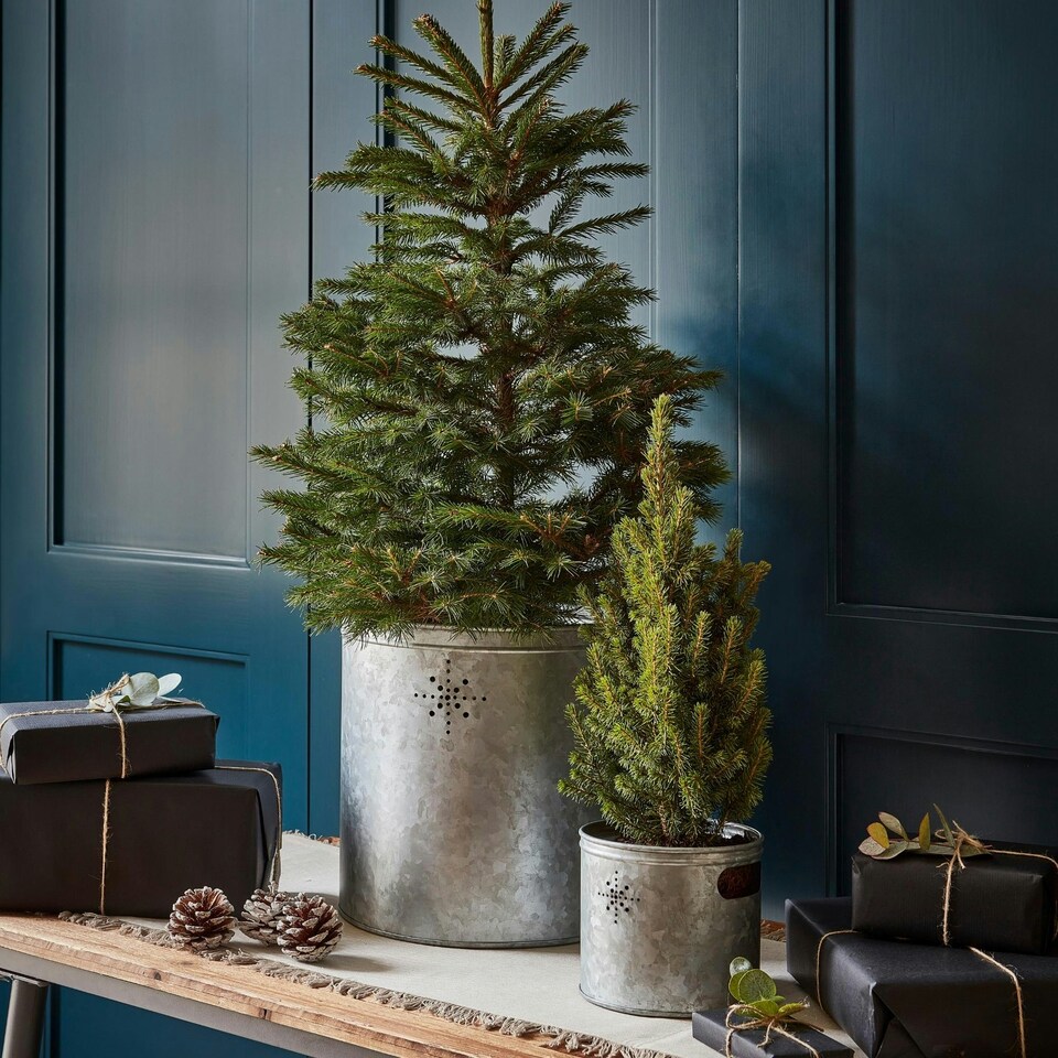 image 1 of Indoor Christmas Tree Bucket with Star in Galvanised Steel