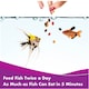 image 4 of 2 x 25g Aquarian Tropical Fish Flakes Complete Nutrition for Small Tropical Aquarium Fish Fish Food & Aquarium Supplies