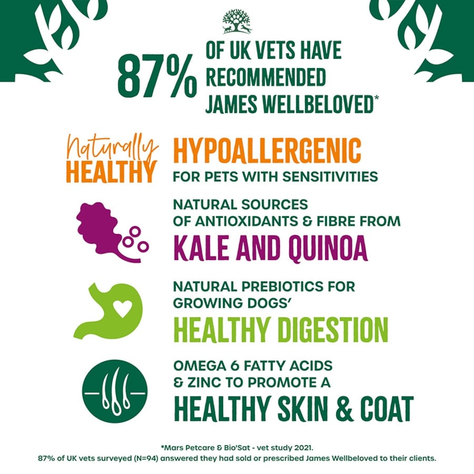 image 1 of James Wellbeloved Pup/Jun Dog Superfoods Turkey With Kale and Quinoa 1.5kg