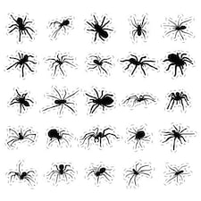 Halloween Spider Cutting Sheet PVC Party Sign Decoration 133cm x 133cm