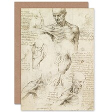 Da Vinci Superficial Anatomy Shoulder Neck Art Card
