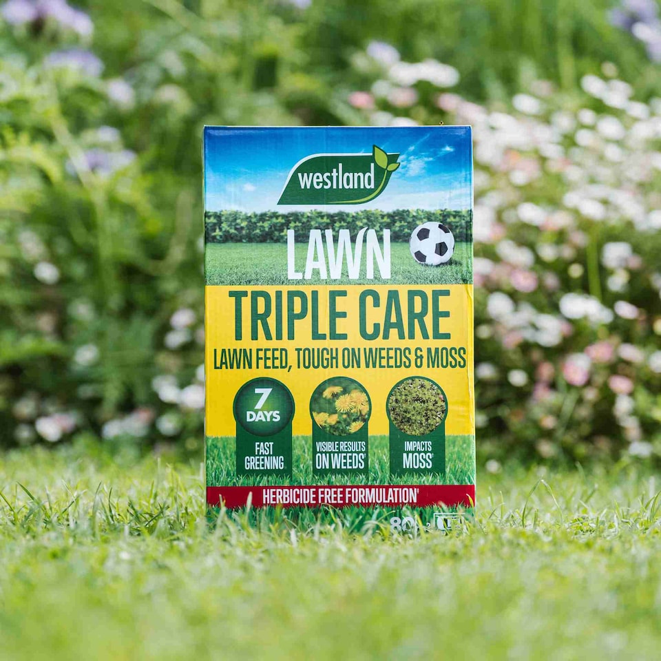 image 1 of Aftercut Westland Triple Care Lawn Feed  Rapid Greening, Moss & Weed Control, Small Granules | Brown | 1 x 350sqm Bag