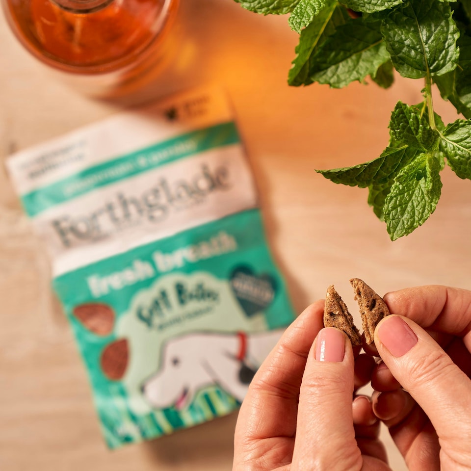 image 1 of Fresh Breath Peppermint & Parsley Dog Treats (8x90g)