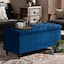 Sapphire Blue Plush Velvet