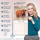 image 5 of Highland Cows 2026 Calendar | Square Wall Calendar | Farm Animal Gift | Plastic Free Packaging | by Avonside Publishing