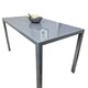 image 1 of Dining Table Grey Glass Kitchen Place for 4 Seats, Dining Table Only (Grey H 75 x L 120 x W 70 cm) Grey