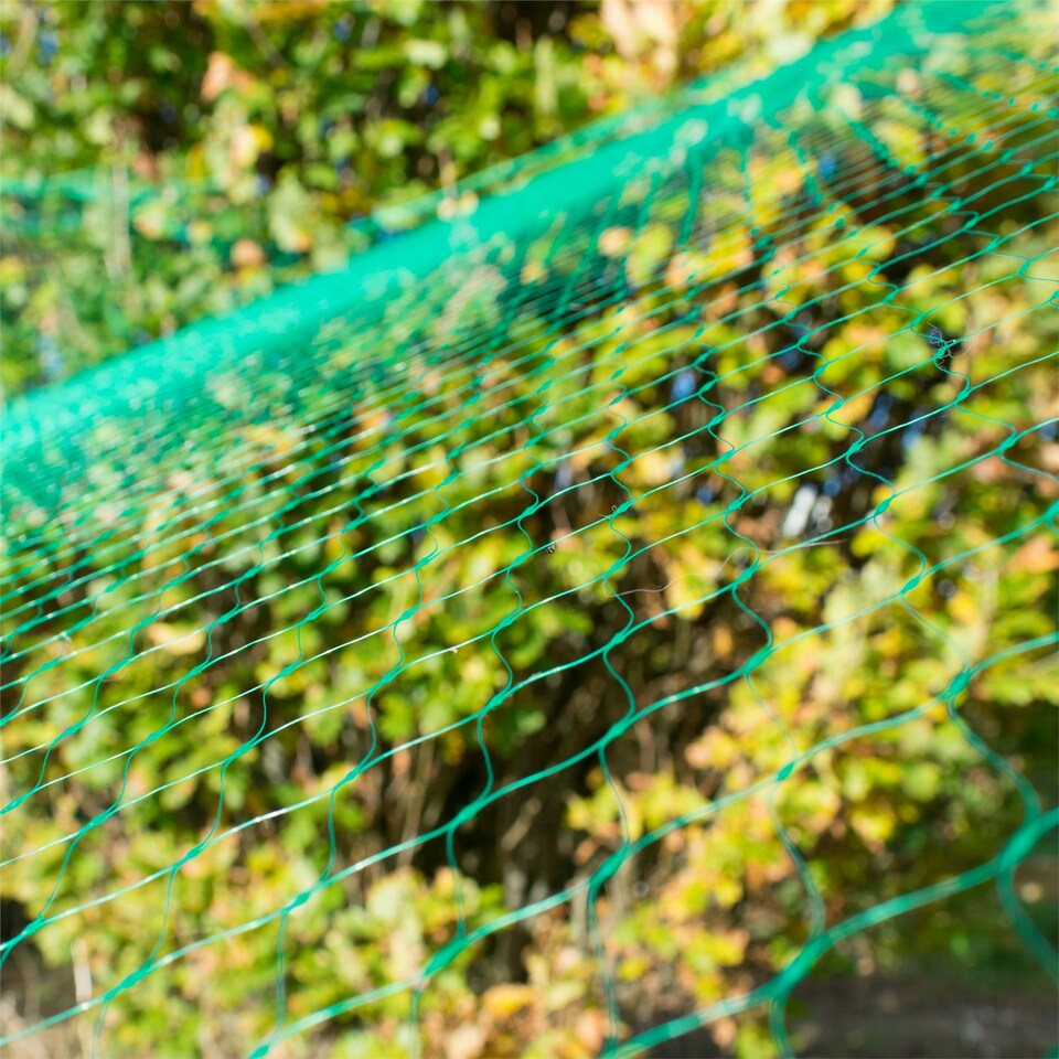 image 1 of KCT 4 x 10m Garden Pond Protective Netting - 2 Pack