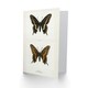 image 2 of Sherman Denton Art Card Black Swallowtail Butterfly