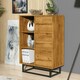image 2 of Sideboard Cabinet 70cm – Oak Matt with Black Frame N/A | Oak