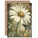 image 1 of Pastel Watercolour Daisy Flower Bloom Birthday Card