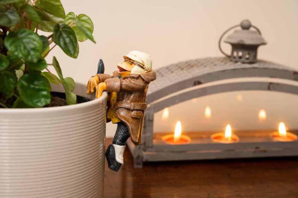 image 1 of Full Colour Mr Toad Driving Pot Buddy - L10.9 x W7.9 x H5.7 cm