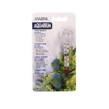 Marina Glass Floating Thermometer with Suction Cup