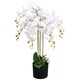image 1 of Artificial Deluxe Bush Orchid White 85cm Bush Orchid Lots of Flowers Botanik