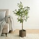 image 2 of OHS Home Decor Artificial Olive Tree In Pot Plant, 110cm - Green