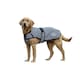 image 1 of Weatherbeeta Comfitec Reflective Dog Jacket - Silver - 25cm