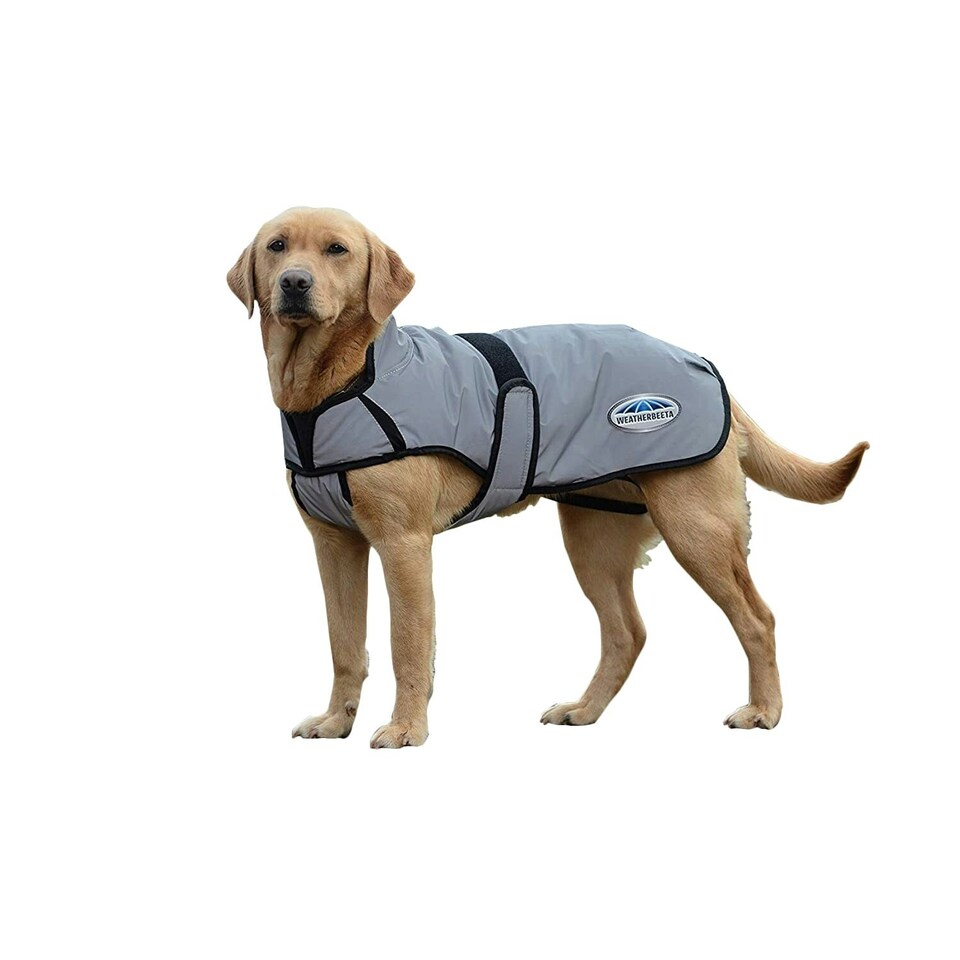 image 1 of Weatherbeeta Comfitec Reflective Dog Jacket - Silver - 25cm