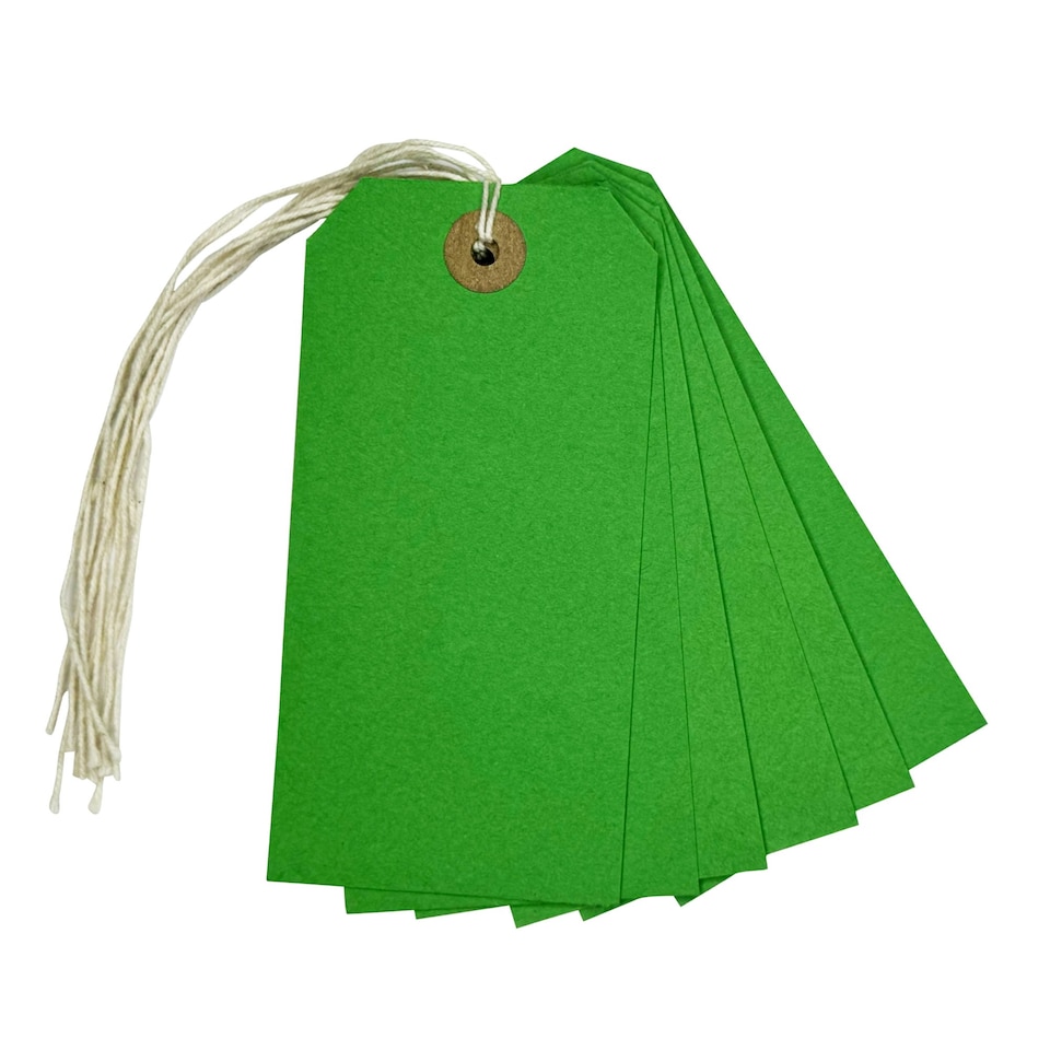 image 1 of Box of 1000 Green Strung Tags 120mm x 60mm