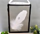image 3 of In Memory of Baby. Baby Feet Real feather Floating Picture Frame