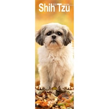 Shih Tzu Slim 2026 Calendar | Slimline Wall Calendar | Dog Breed Gift | Plastic Free Packaging | by Avonside Publishing [Calendar] Avonside Publishing Ltd