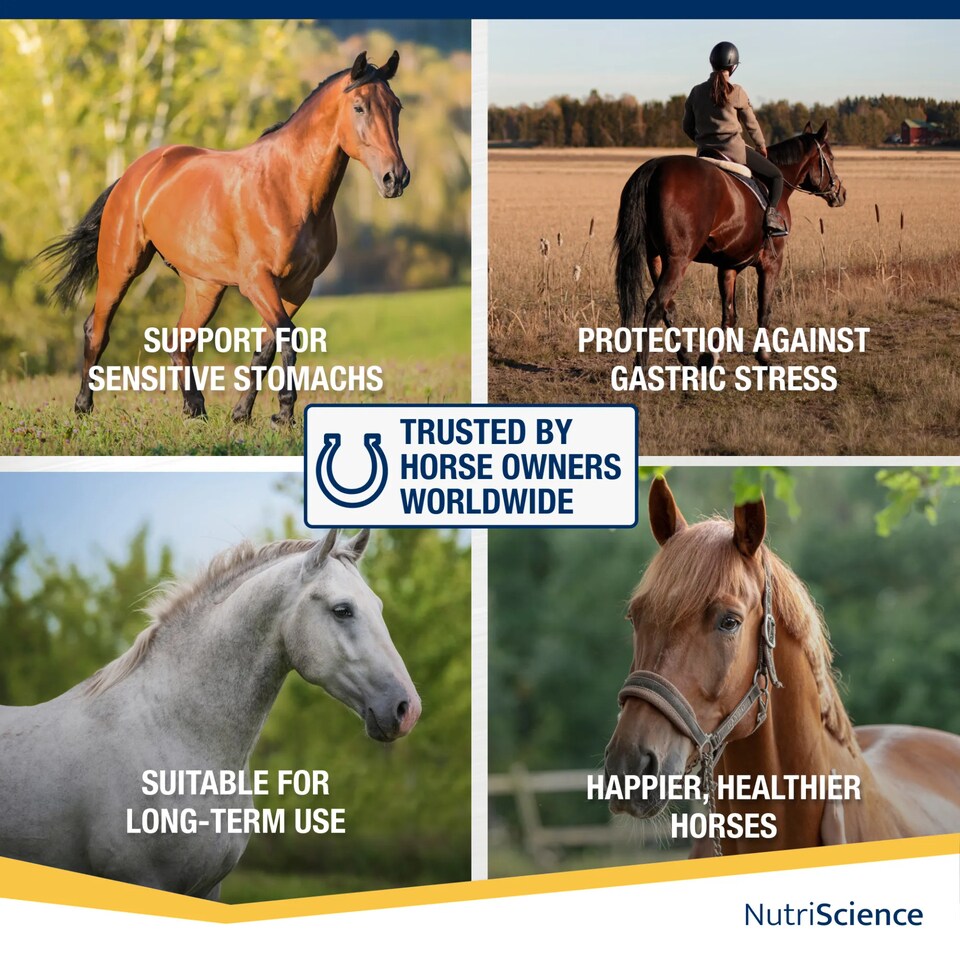 image 1 of NutriScience Horse Gastric Supplement Gut Ulcer Digestive Support Powder 3KG