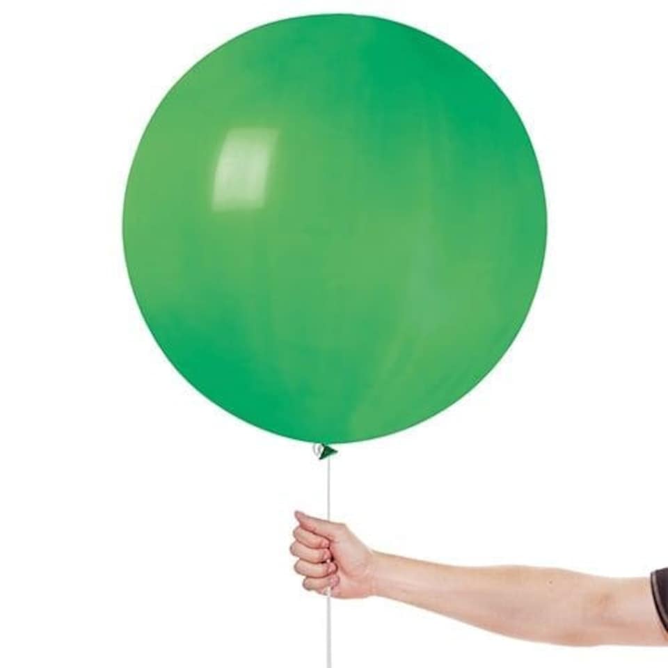 image 1 of Winter Green Bio Latex Balloons 48cm / 19 in - Pack of 25