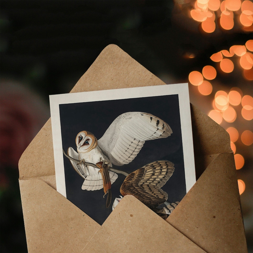image 1 of John James Audubon Art Card Birds of America Barn Owl