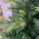 image 5 of Everlands 210cm (7ft) Green Grandis Fir Real Look Christmas Tree 2326 Tips