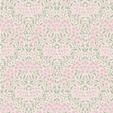 Vintage Daisy Wallpaper in Soft Pink and Sage | Pink | Soft Pink and Sage