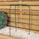 image 5 of Pack of 3 Tom Chambers Urban Dark Green Metal Herbaceous Garden Plant Support Grow Through Small 40cm x 20cm