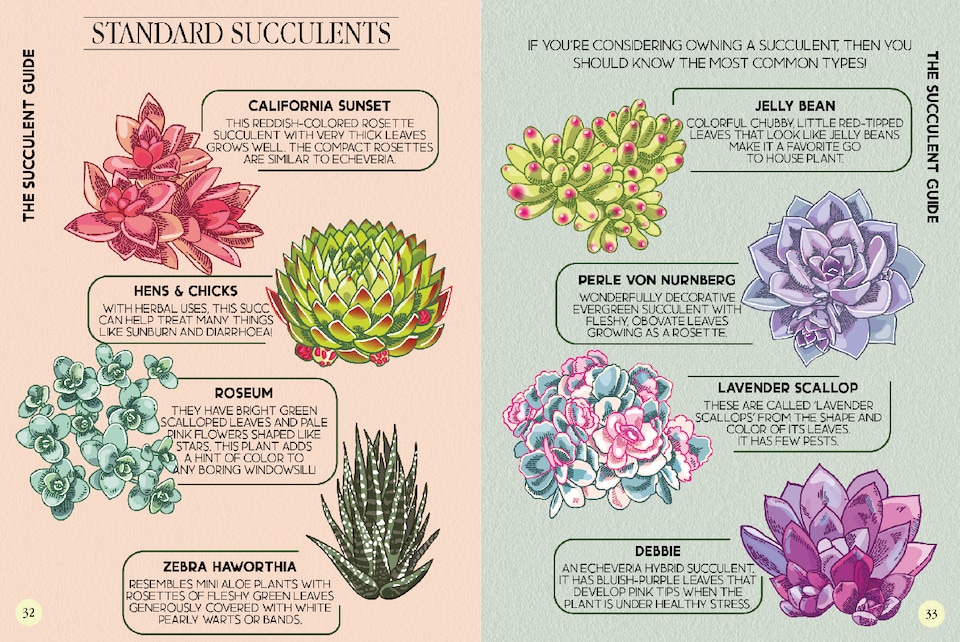 image 1 of Houseplant Survival Guide Gift Book