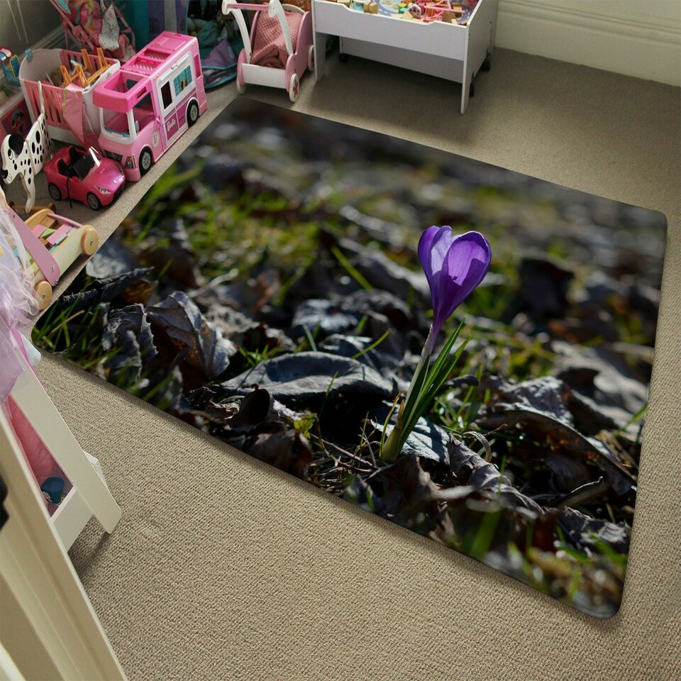image 1 of Purple crocus flowers, Colchicum, in a green grass meadow. Close up spring or autumn flower bloom in nature (Rug) Multi | M