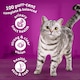 image 7 of 7kg Whiskas 1+ Adult Complete Dry Cat Food Chicken Bulk Pack Cat Biscuits