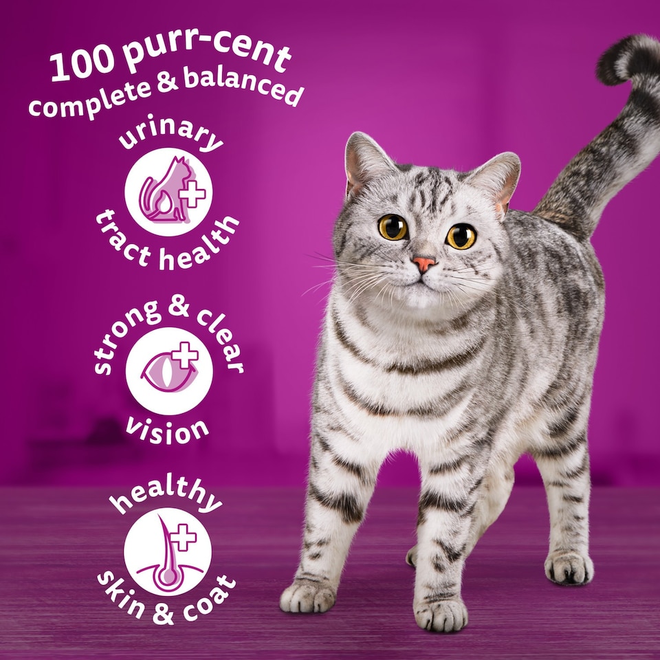 image 1 of 7kg Whiskas 1+ Adult Complete Dry Cat Food Chicken Bulk Pack Cat Biscuits