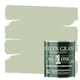 image 1 of EVELYN GRANT All-in-One Paint & Primer - Multi-Surface for Walls, Wood, Interior & Exterior - Sage Green - 1L - Matt