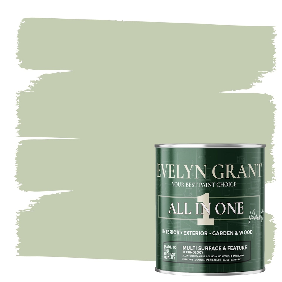 image 1 of EVELYN GRANT All-in-One Paint & Primer - Multi-Surface for Walls, Wood, Interior & Exterior - Sage Green - 1L - Matt