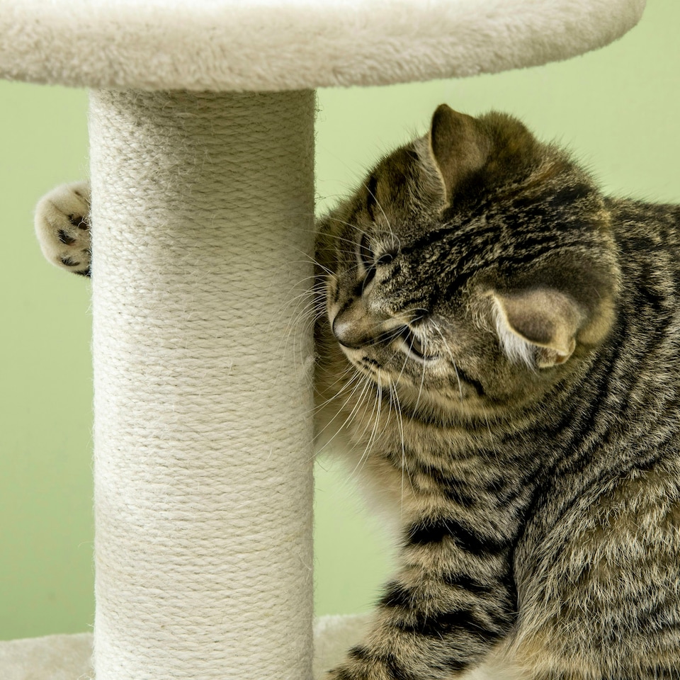 image 1 of PawHut Climbing Kitten Tower with Scratching Post Cat House, Beige