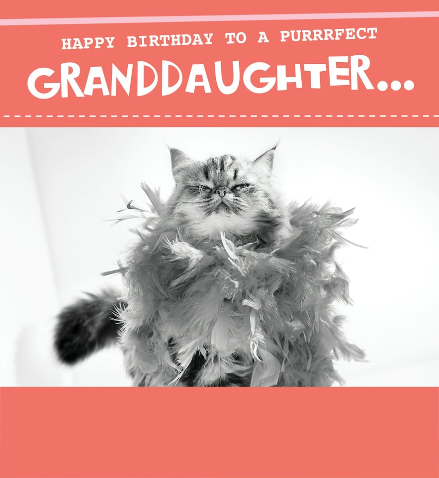 image 1 of Purrrfect Granddaughter Perfect Grandparents - Funny Granddaughter Birthday Card