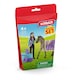 image 2 of SCHLEICH Horse Club Criollo Definitivo Beauty Set with Kim Toy Playset (42753)