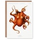 image 1 of Carl Chun Art Card Octopus Vintage Cephalopod Illustration